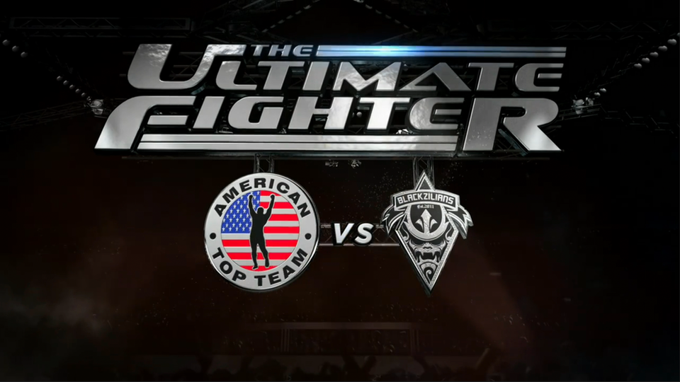 THE ULTIMATE FIGHTER